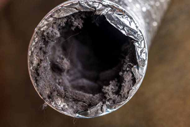 Best HVAC Duct Inspection Services  in Mount Vernon, WA