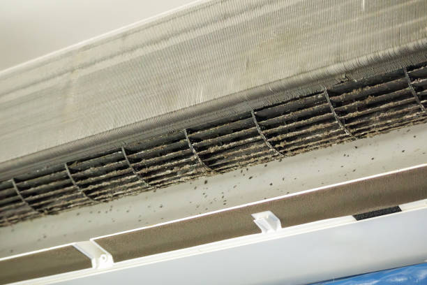 Best Ductwork Cleaning Services  in Mount Vernon, WA