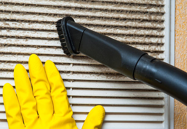 Best Affordable Duct Cleaning Services  in Mount Vernon, WA
